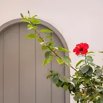 Simple House Mykonos Sunset Apartman