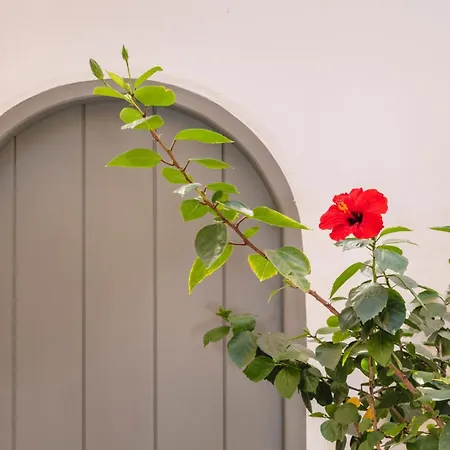 Simple House Mykonos Sunset Appartement