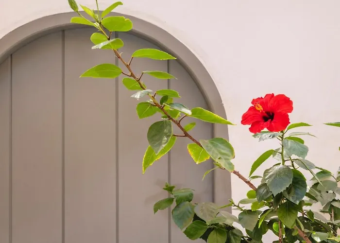 Simple House Mykonos Sunset Appartamento